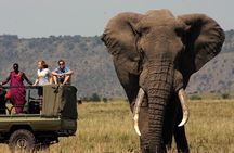 10 Day Cape Town to Johannesburg: Garden Route & Kruger Park Tour