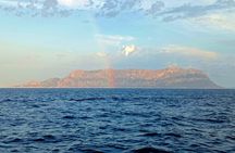 Dolphin spotting in the Gulf of Olbia