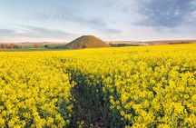 Expert Archaeologist - Private Stonehenge, Bath and Avebury Tour