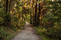 Guided Oceanside Private Hike