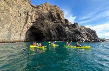 Turtle and Dolphin Watching Kayaking and Snorkeling Tour