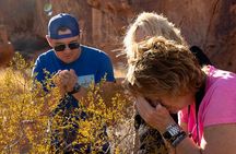 Valley of Fire Sunset Tour from Las Vegas