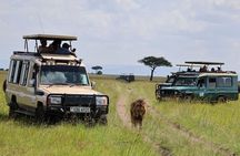 3 Days Group Joining Safari to Maasai Mara in a 4WD JEEP