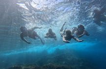Kayaking Tour in the south of Tenerife