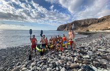 Kayaking Tour in the south of Tenerife