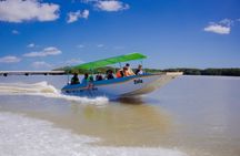 Celestun Flamingos Beach & Seafood Tour departure from Merida
