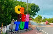 Celestun Flamingos Beach & Seafood Tour departure from Merida