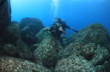 Private Diving Experience in Praia João Fernandinho