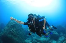 Private Diving Experience in Praia João Fernandinho