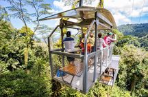 Eco Adventure plus Original Canopy Tour at Veragua Rainforest