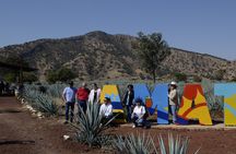 full day Tequila tour visiting artisanal distillery and downtown.