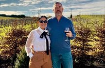 Visit Saint-Emilion and Pomerol:Vineyards, lunch and tastings included