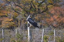  Torres del Paine Winter / Fauna sighting at your leisure