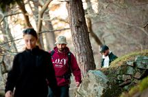 Ikaria Adventure, Randis Forest with Pick-Up