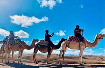 Marrakech Agafay Desert Camel Ride, Dinner and Fire Show