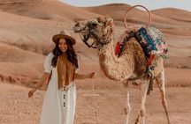 Marrakech Agafay Desert Camel Ride, Dinner and Fire Show