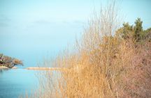 Ikaria, The secrets of Ikarian longevity with Pick-Up