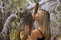 Featherdale Wildlife Park with Exclusive Private Transfers