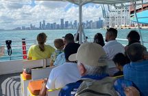 Miami South Beach & Wynwood Tour and Little Havana & Cruise 