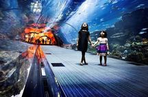 Dubai Aquarium Underwater Zoo Penguin Cove Ticket with options