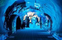 Dubai Aquarium Underwater Zoo Penguin Cove Ticket with options