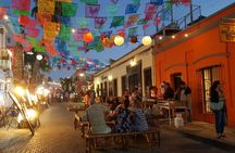 City Tour in San Jose del Cabo & Cabo San Lucas 