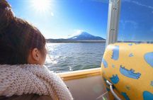 Tokyo to Mt. Fuji Day Tour: KABA Bus & Hotel Pickup - Small Group