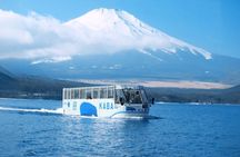 Tokyo to Mt. Fuji Day Tour: KABA Bus & Hotel Pickup - Small Group