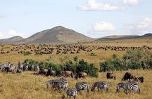 3 Days Maasai Mara Guided Private in a 4WD