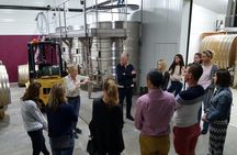 Day Trip to the Sancerre and Pouilly Vineyards