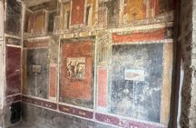 From Positano: Pompeii Guided Tour with Skip the Line 