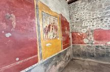 From Positano: Pompeii Guided Tour with Skip the Line 