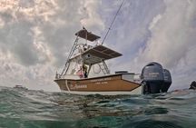 El Ausente Private Charter Experience Tour 