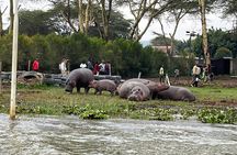 Hell’s Gate Day Safari with Option of Boat Ride or Geothermal Spa