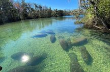 Crystal River Boat and Nature Tour