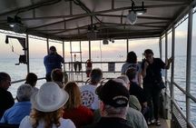 Crystal River Boat and Nature Tour
