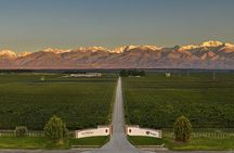 Private Uco Valley Tour paired Lunch, Wine Tastings from Mendoza