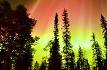 Levi Northern Lights Experience