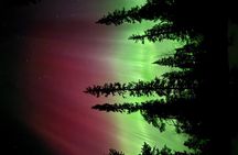 Levi Northern Lights Experience
