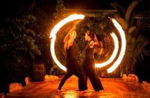 Singapore Night Safari Ticket Experience