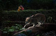 Singapore Night Safari Ticket Experience