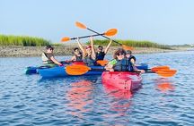 2 Hour Kayak Hilton Head Dolphin and Nature Tour