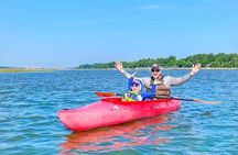 2 Hour Kayak Hilton Head Dolphin and Nature Tour