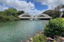 Guided E-Bike Tour in North Shore