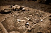 Myths & Monsters: The Forgotten Folklore of Charleston
