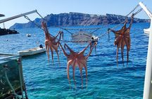 Santorini Private Tailor Made Tour with a Local Guide