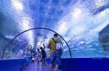Alanya: Aquarium, Wax Museum, Snow World, Wild Park, XD Cinema 