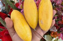 AUTHENTIC OAXACA CULTURAL FOOD TOUR, eat like a local.