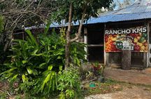 Chacchoben Ruins and Bacalar Lagoon Boat Tour