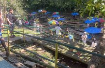 Bamboo Rafting with Limestone Foot massage then Margaritaville. 